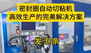 「視頻」密封圈自動切粘機，高效生產(chǎn)的完美解決方案